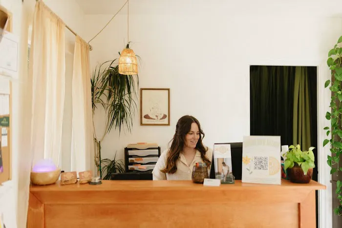 Sol Chiropractic LLC Picture 2