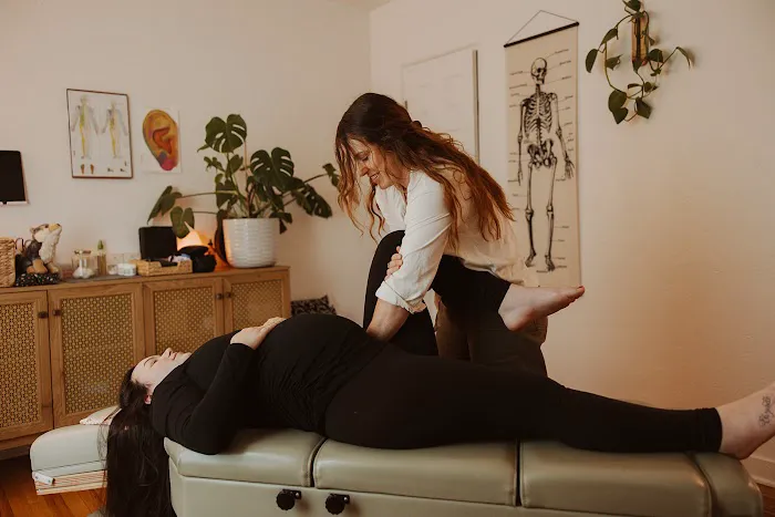 Sol Chiropractic LLC Picture 7