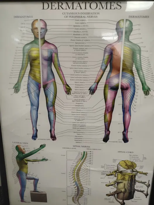 Rapha Chiropractic Picture 1