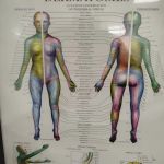 Rapha Chiropractic