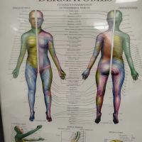 Rapha Chiropractic ico