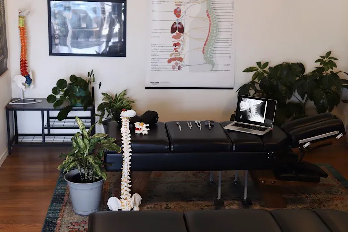 Root and Stem Chiropractic Picture 3