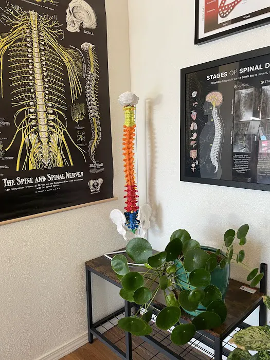 Root and Stem Chiropractic Picture 6