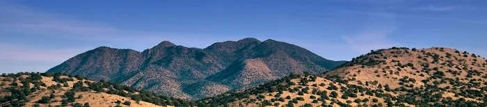 Albuquerque Alternative Health Picture 4