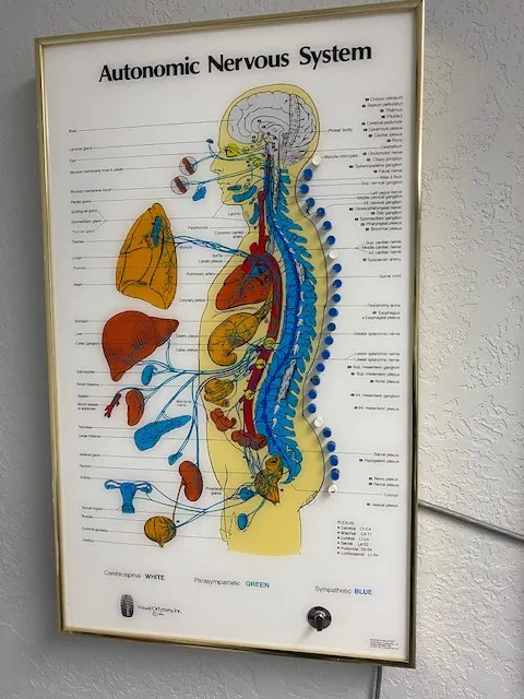Pat Hale Chiropractic Picture 10