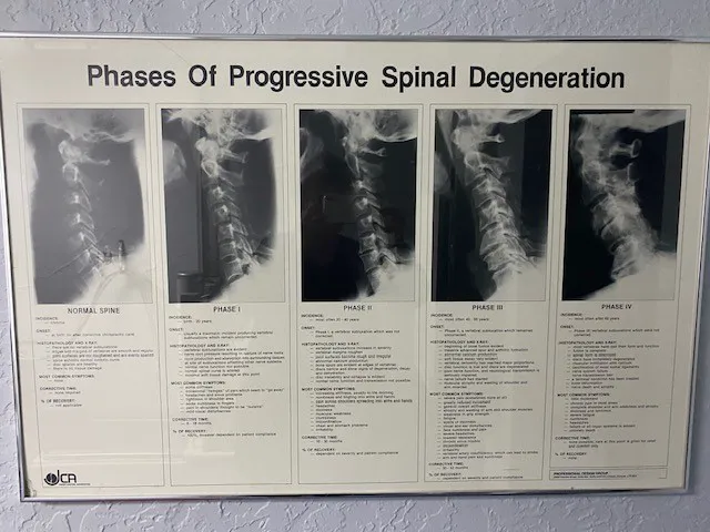 Pat Hale Chiropractic Picture 5