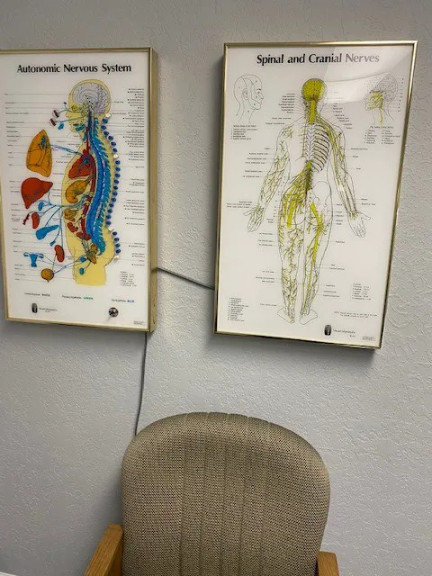 Pat Hale Chiropractic Picture 6