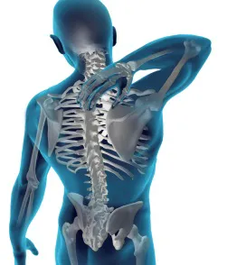 Desert Motions Chiropractic Dr. Gail M. Bradley DC Picture 1
