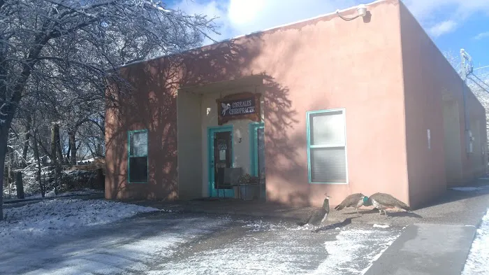 Corrales Chiropractic Picture 4