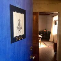 Thrive Chiropractic and Wellness ico