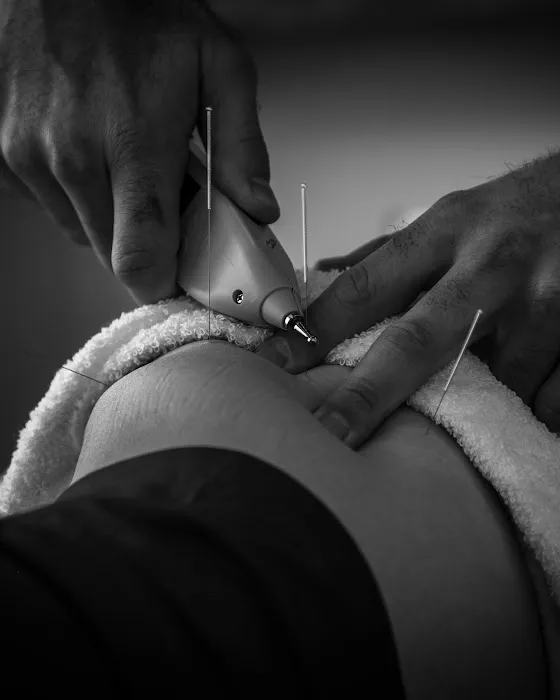 Wellness in Motion Boston Picture 2