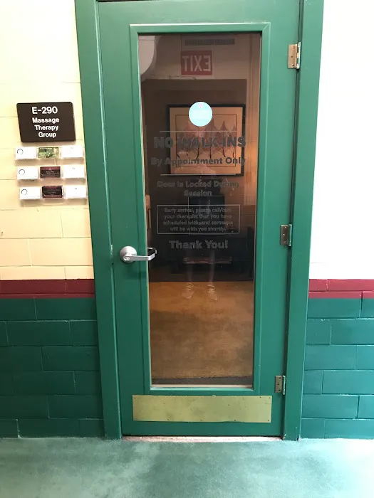 Elite Back and Body Picture 3