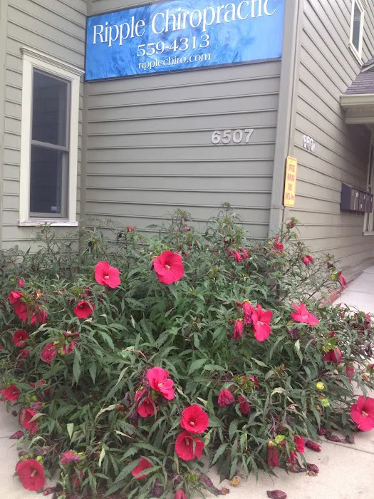 Ripple Chiropractic Picture 5