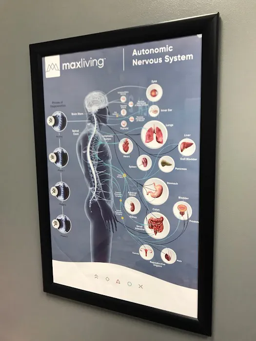 Greenwood Family Chiropractic Picture 6