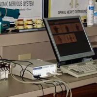 Hull Chiropractic ico