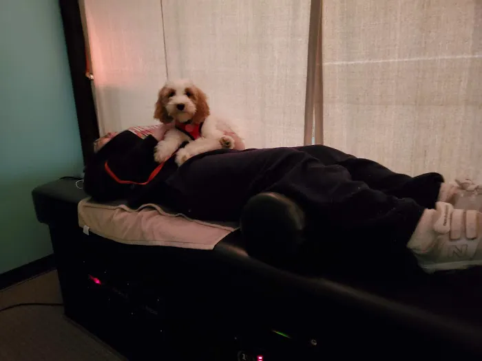 Elite Chiropractic and Wellness Picture 1