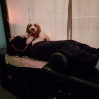 Elite Chiropractic and Wellness ico
