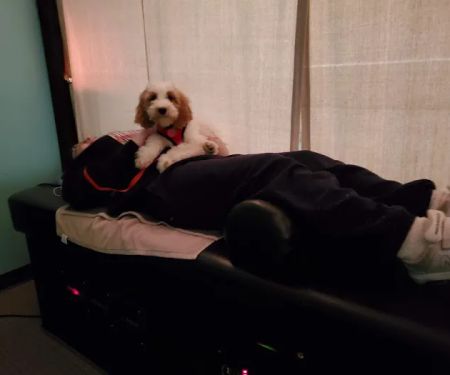 Elite Chiropractic and Wellness