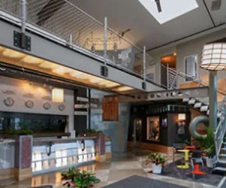 Tiefel Chiropractic + Wellness
