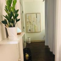 OHealth Integrated Medicine ico