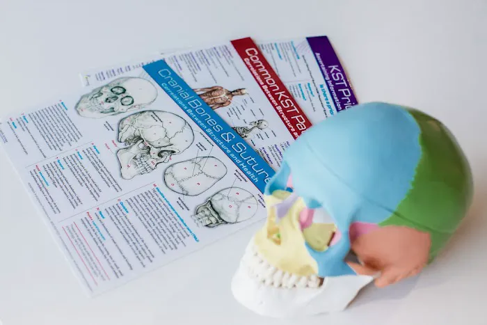 Remedy Chiropractic- Dr. Molly Vyzral, DC Picture 4