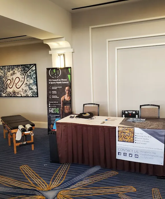 IN Chiropractic & Wellness, Inc. Picture 2