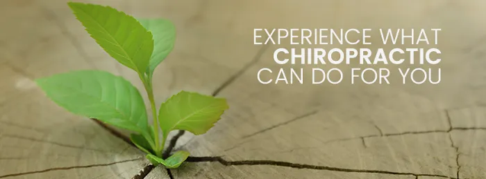 Restore Life Chiropractic Picture 2