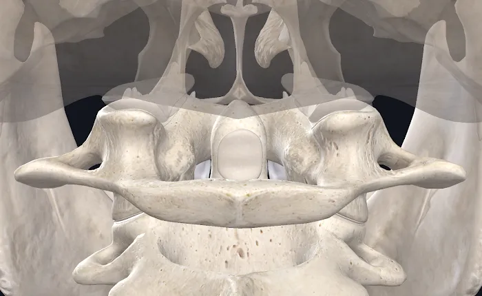 Atlas Spinal Care | Dr. Tymothy Flory, DC Picture 9