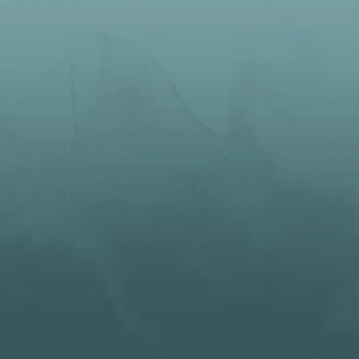 McClain Chiropractic Picture 9