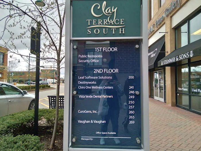 Chiro One Chiropractic & Wellness Center of Carmel Picture 3