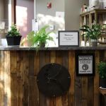 Kline Chiropractic