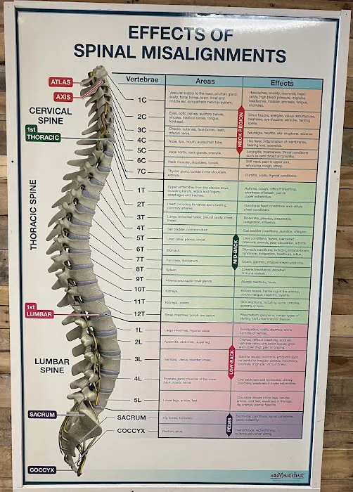 Keystone Chiropractic Picture 8