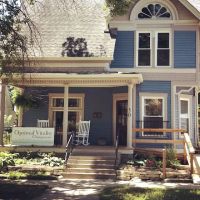 Optimal Vitality Chiropractic ico