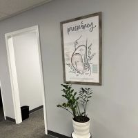 Mayfield Chiropractic ico