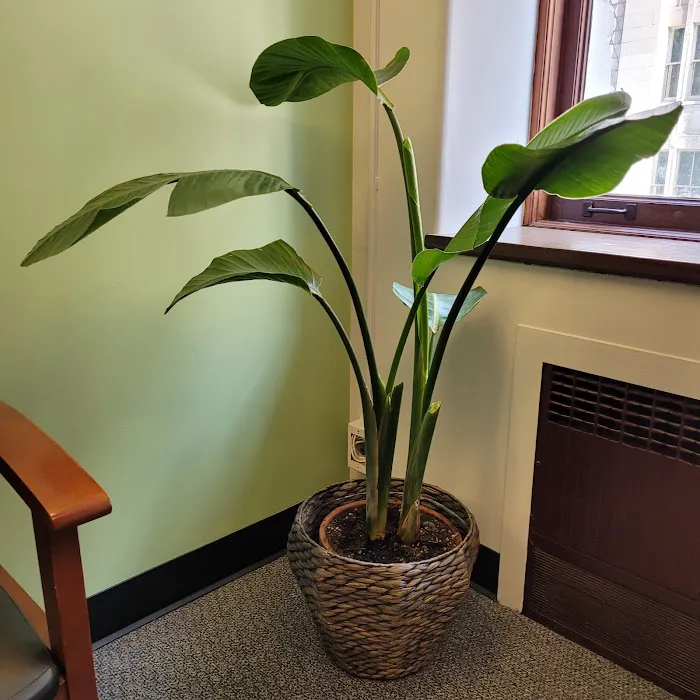 Seattle Total Health Chiropractor Picture 7