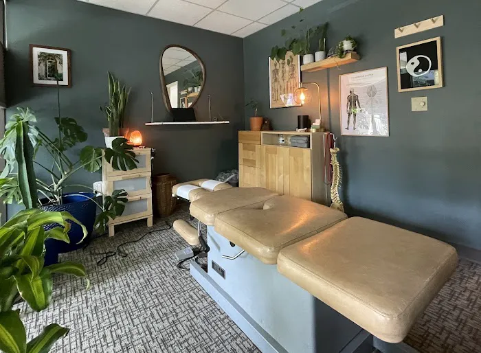 Capitol Hill Chiropractic Picture 2