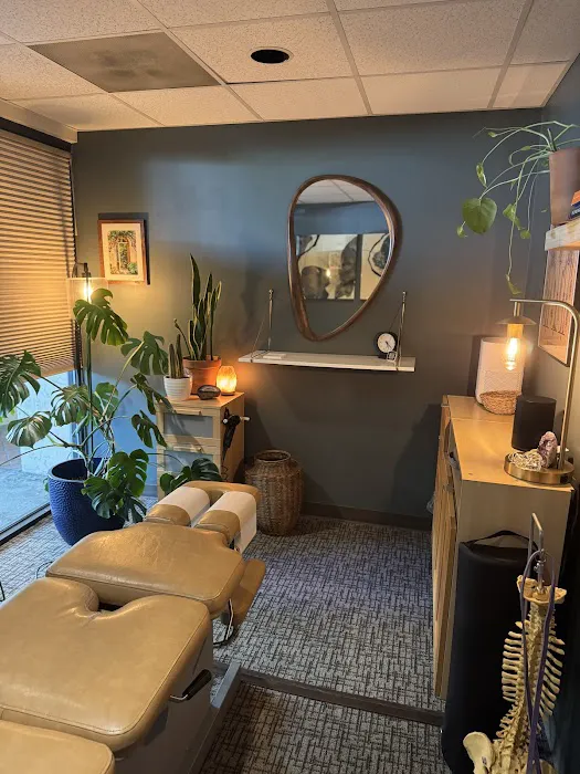 Capitol Hill Chiropractic Picture 5