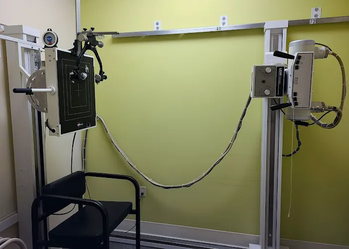 Emerald City Spinal Care Picture 3