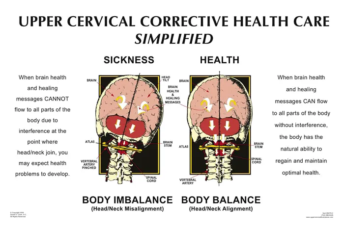 Health First Chiropractic Seattle Picture 6
