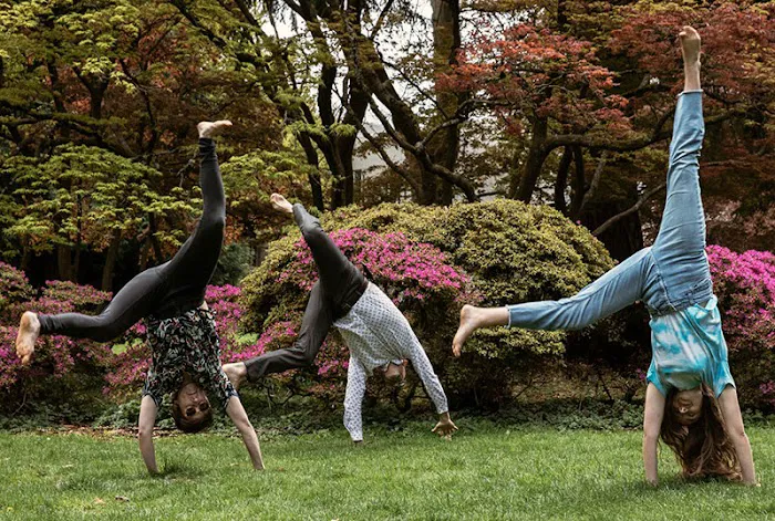 Health First Chiropractic Seattle Picture 10