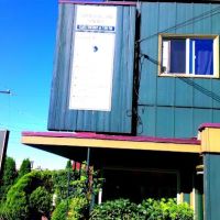 Evergreen Chiropractic ico