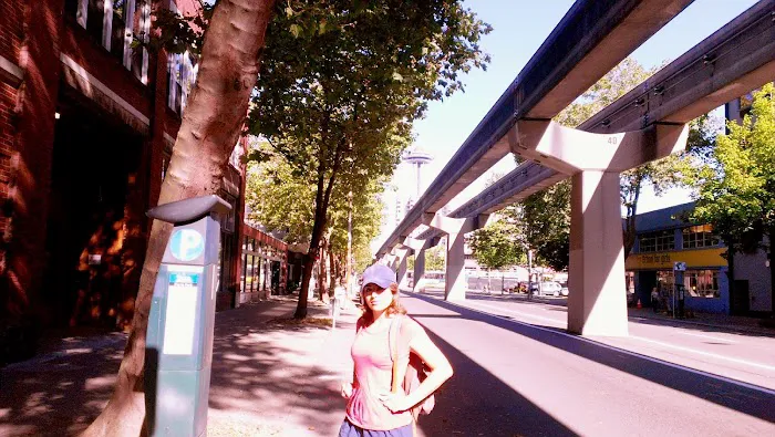 Evergreen Chiropractic Picture 4