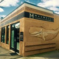 Maxwell Chiropractic Offices - Lauren Aklinski, DC, PLLC ico