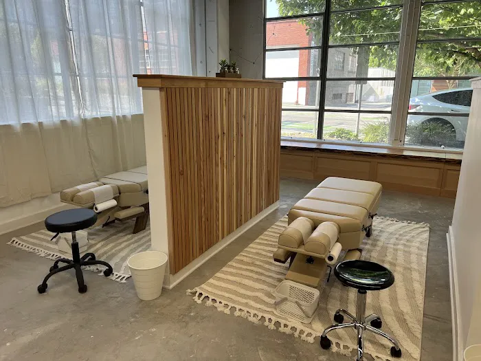Rooted Chiropractic & Rehab Picture 2