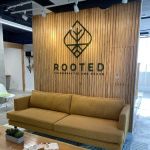 Rooted Chiropractic & Rehab