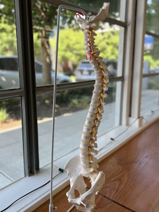 Rooted Chiropractic & Rehab Picture 4