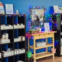 Always Chiropractic & Wellness, PLLC ico