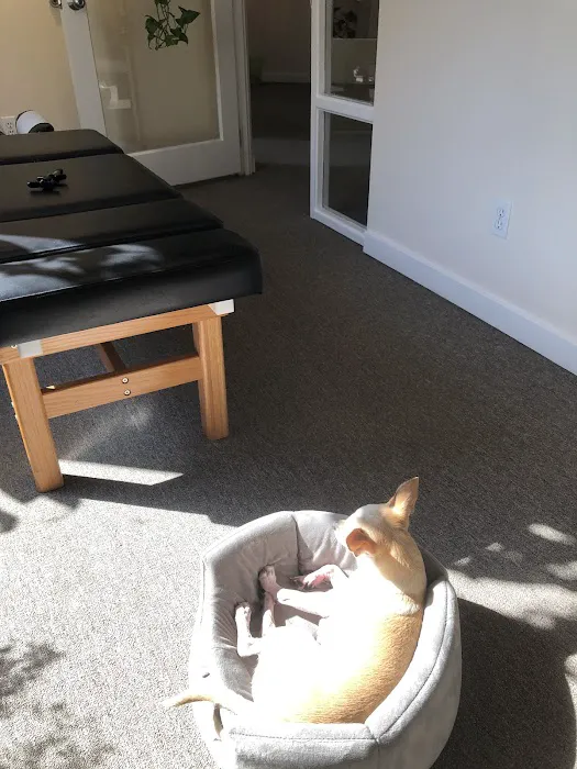 New Leaf Chiropractic & Wellness, P.S. Picture 1