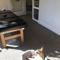 New Leaf Chiropractic & Wellness, P.S. ico