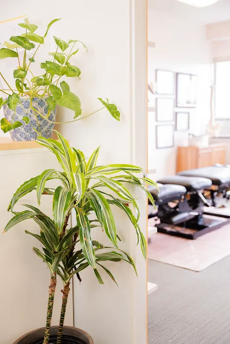 Active Seattle Chiropractic + Sports Therapy Picture 8